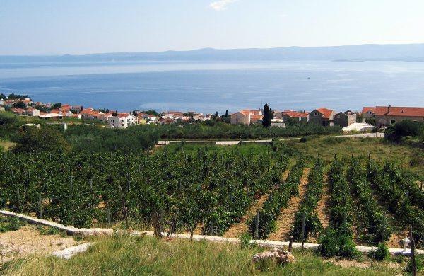 Holiday Home Vineyard House Bol Luaran gambar