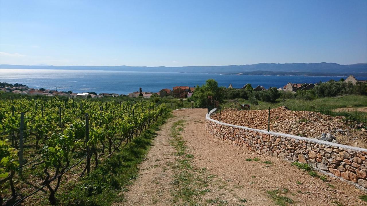 Holiday Home Vineyard House Bol Luaran gambar